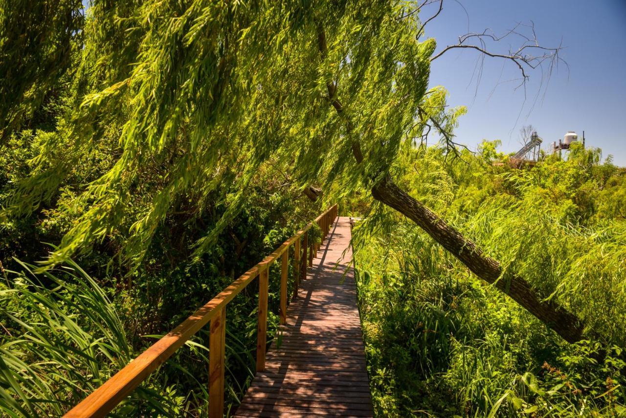 Eco Cabana Rio - Cabana Mirador Hotell Tigre Eksteriør bilde